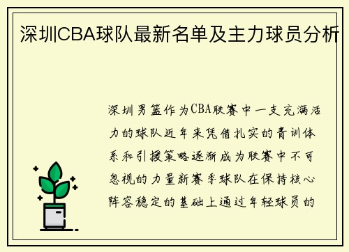 深圳CBA球队最新名单及主力球员分析