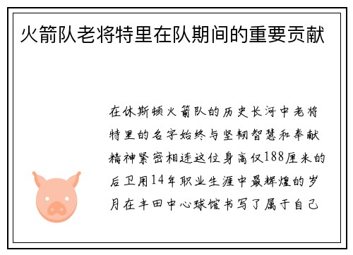 火箭队老将特里在队期间的重要贡献